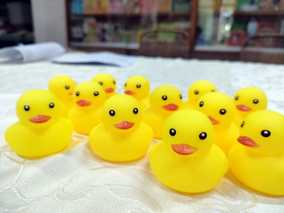 (全国)塑料小黄鸭有毒 槟消协促勿购买