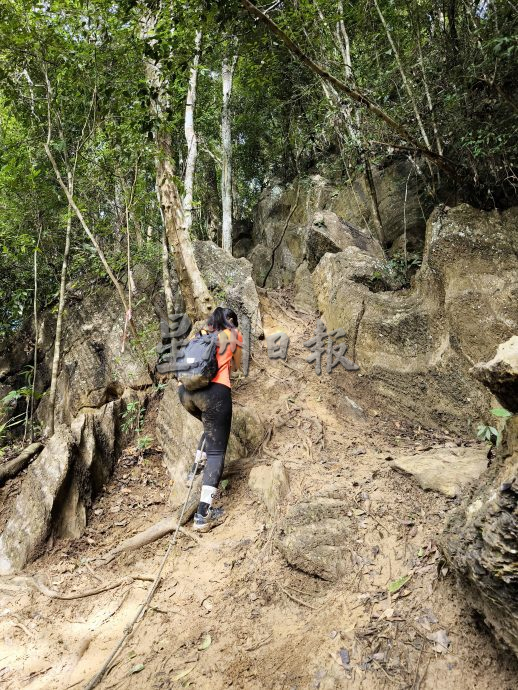 (大北马)在山中/旺古农山