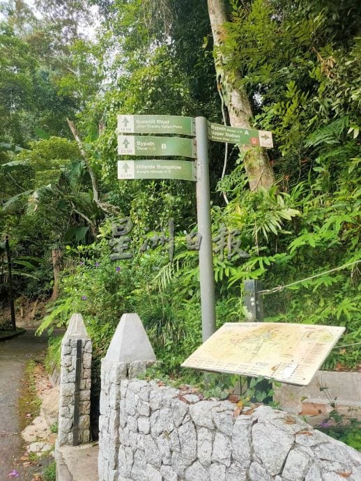 (大北马)在山中:升旗山古迹山径