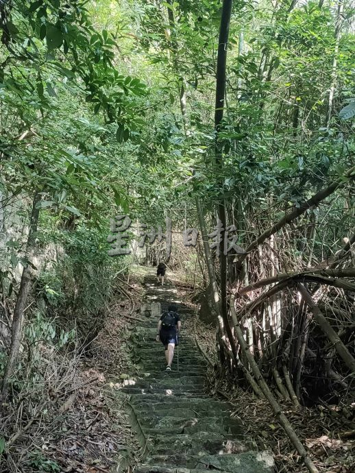 (大北马)在山中:升旗山古迹山径
