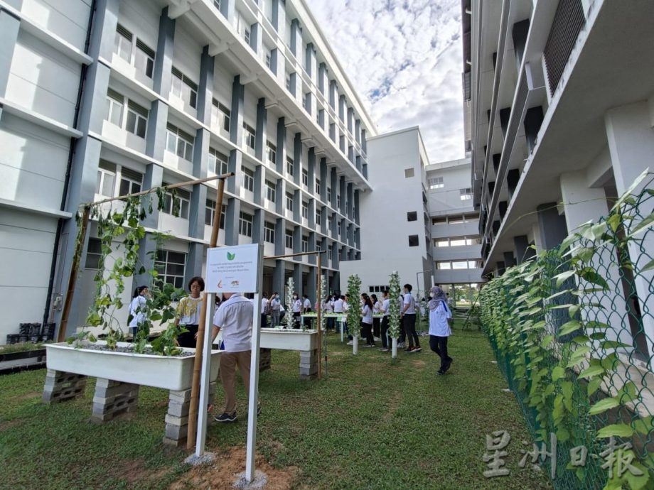 (大北馬)恆毅分校打造生態課堂 魚菜共生系統引領環保教育風潮