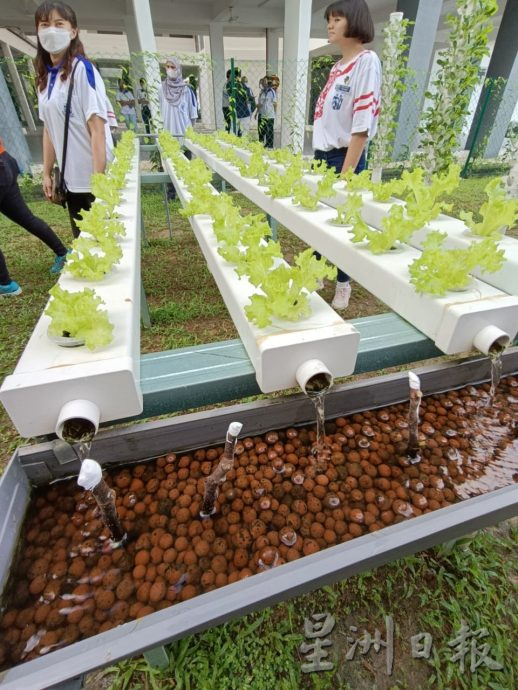 (大北馬)恆毅分校打造生態課堂 魚菜共生系統引領環保教育風潮