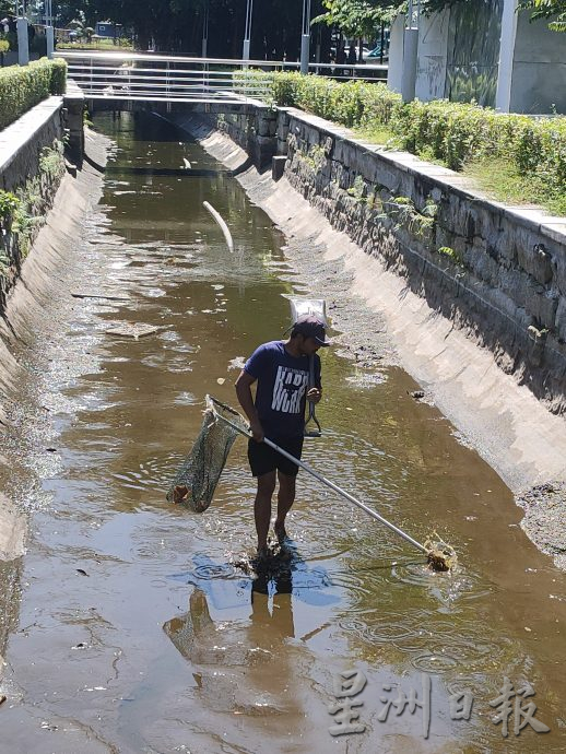 （大北马）社尾考古公园生运河态遭非洲鱼破坏 鲤鱼仅不到10尾