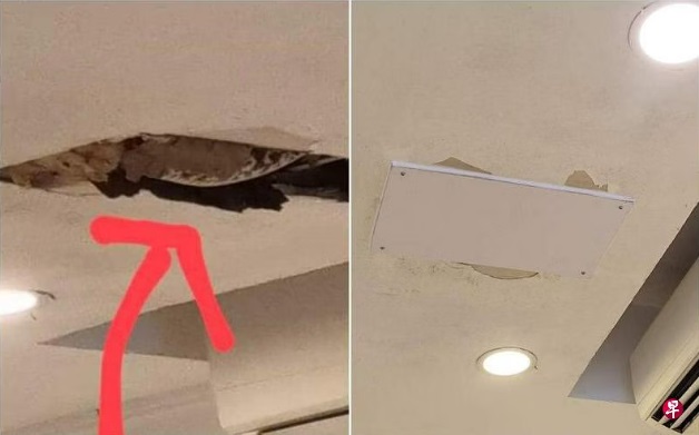 (已签发)柔:狮城二三事:天花板掉碎片疑现蟒蛇 土司工坊关闭1小时多