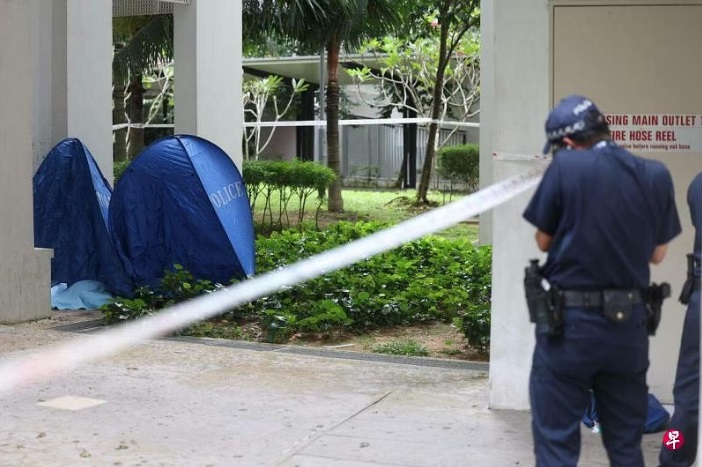 (已签发)柔:狮城二三事:狮城再发生坠楼双尸案 34岁女子与3周大男婴身亡