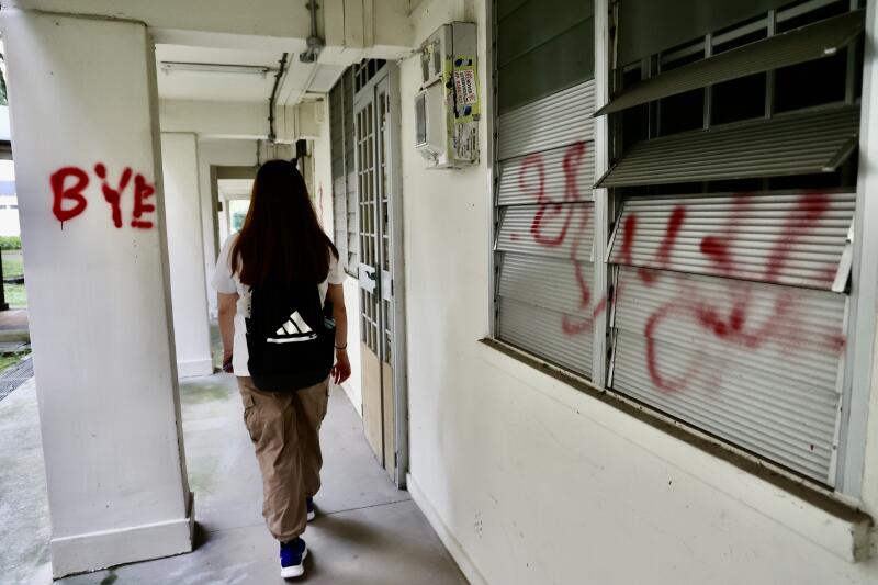 (已签发)柔:狮城二三事:空组屋遭人涂鸦泼漆 网民调侃“新加坡也有毕加索”