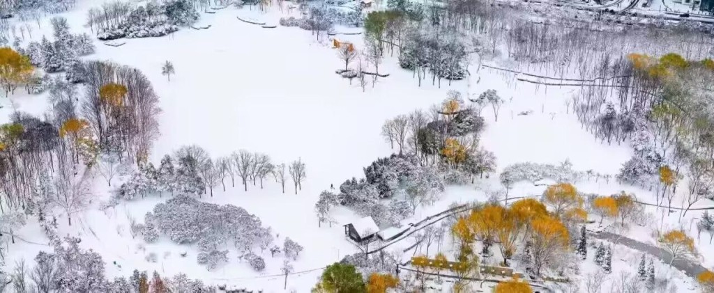 （视频）沙漠罕见雪海 如诗如画如梦