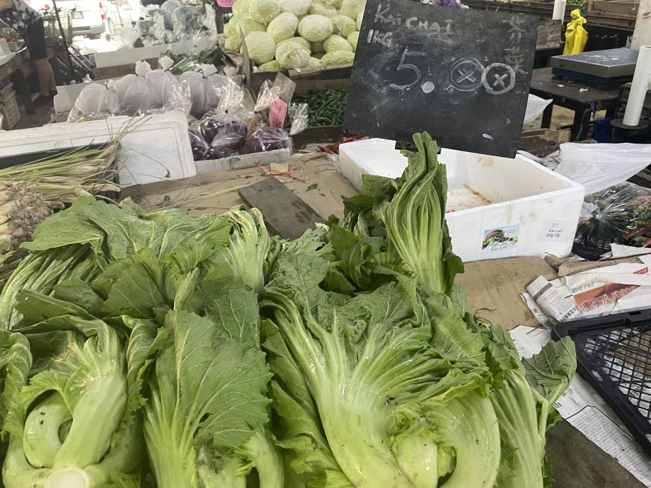 18/1《食曾相识》-酸辣芥菜
