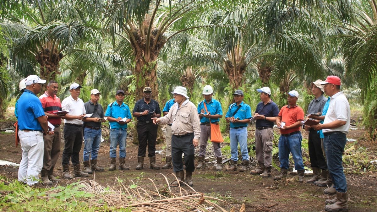 1月15日见报///曾贵秋点“油”成金  美景油棕冲上市