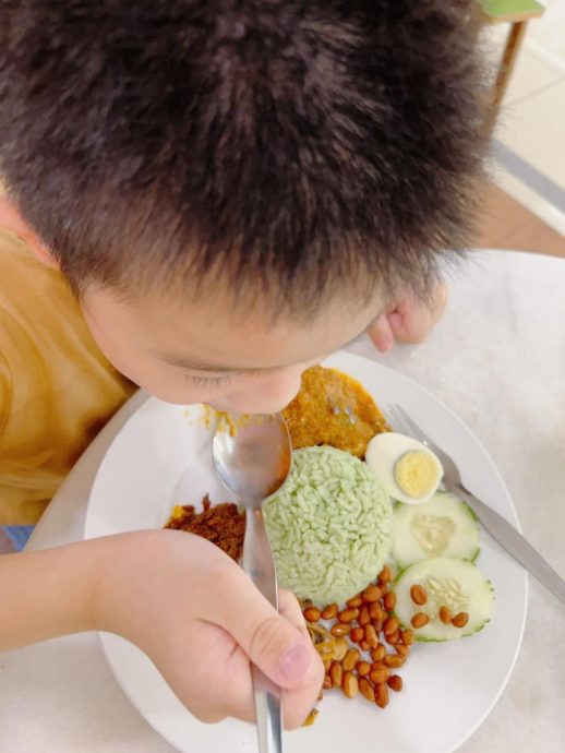 1月16日/阿秤育儿志/完结篇/Balik Kampung回家/2图