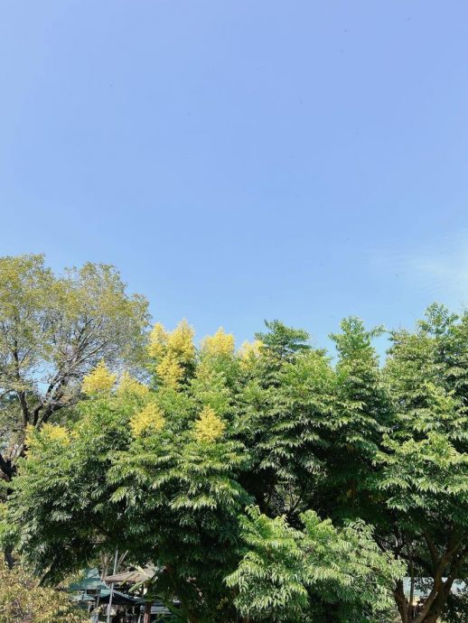 1月9日见报/阿秤育儿志 | 不急着跟孩子做朋友