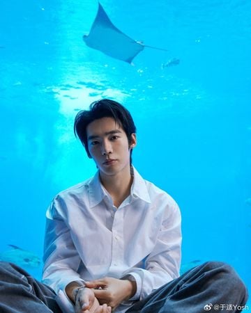 2023微博10大涨粉明星 成毅夺冠赵露思排第6