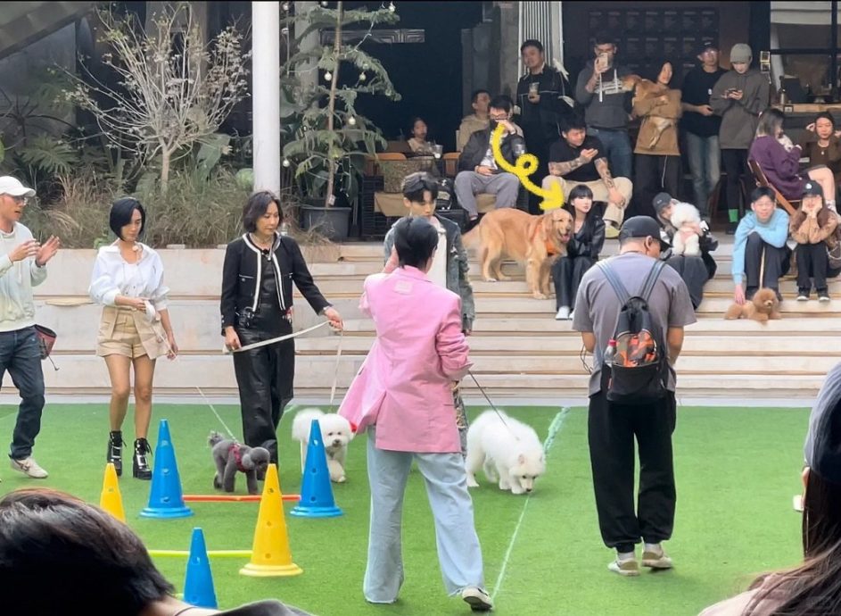 58岁刘嘉玲同框朱茵 年长6岁外形竟更优胜