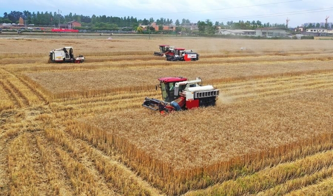 6954亿公斤 中国2023年粮食产量再创历史新高