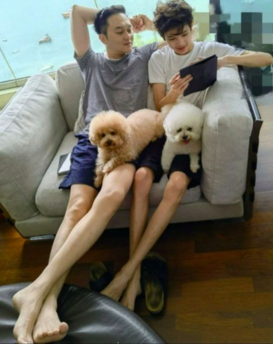 ​儿子连拖手都拒绝 袁咏仪心碎：有被分手感觉