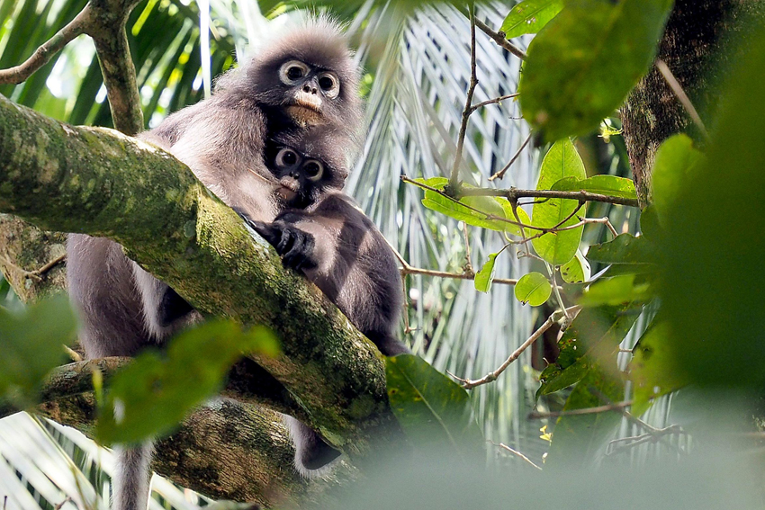 ​Kim Teoh／眼神交会