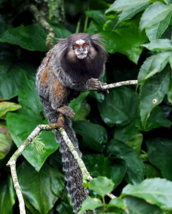 ​Kim Teoh／眼神交会