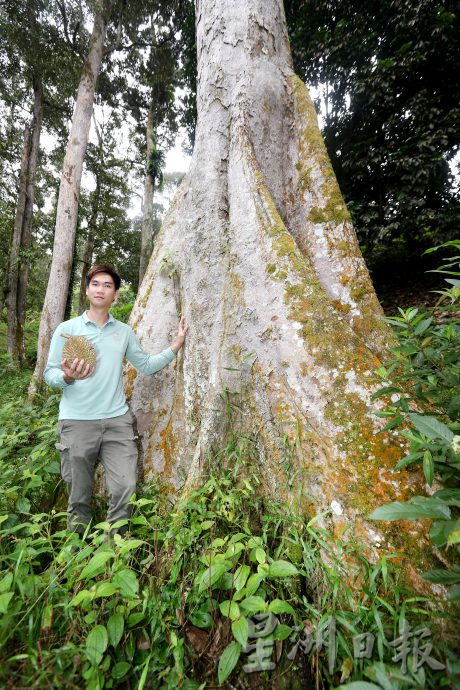 ★1月15日刊登／大霹雳封底主文／【农的传人】／喜欢大自然环境 摄影师转行务农乐 