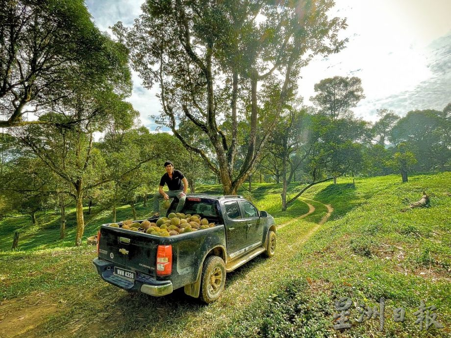 ★1月15日刊登／大霹雳封底主文／【农的传人】／喜欢大自然环境 摄影师转行务农乐 