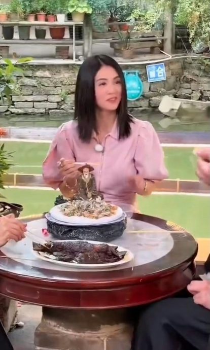 《自梳》回忆杀 刘嘉玲杨采妮相隔27年惊艳同框