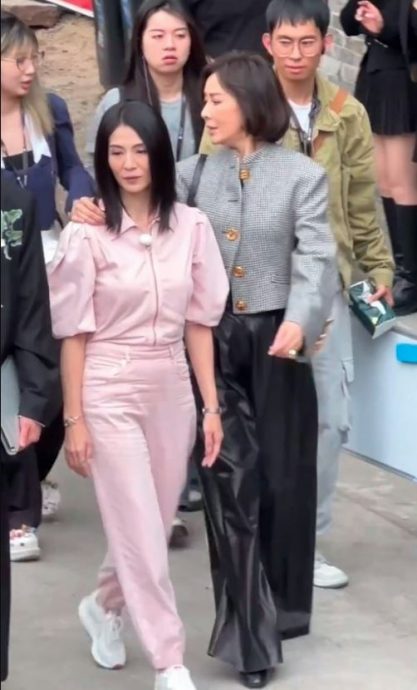 《自梳》回忆杀 刘嘉玲杨采妮相隔27年惊艳同框