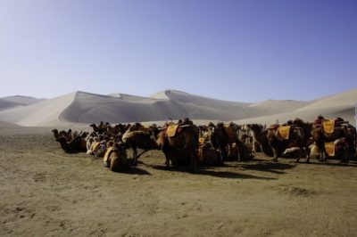 【中国】从莫高窟到阳关，苍凉大漠驼铃吟唱
