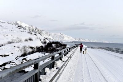 【挪威】挪威最美的村庄REINE，这个冬季来看你！