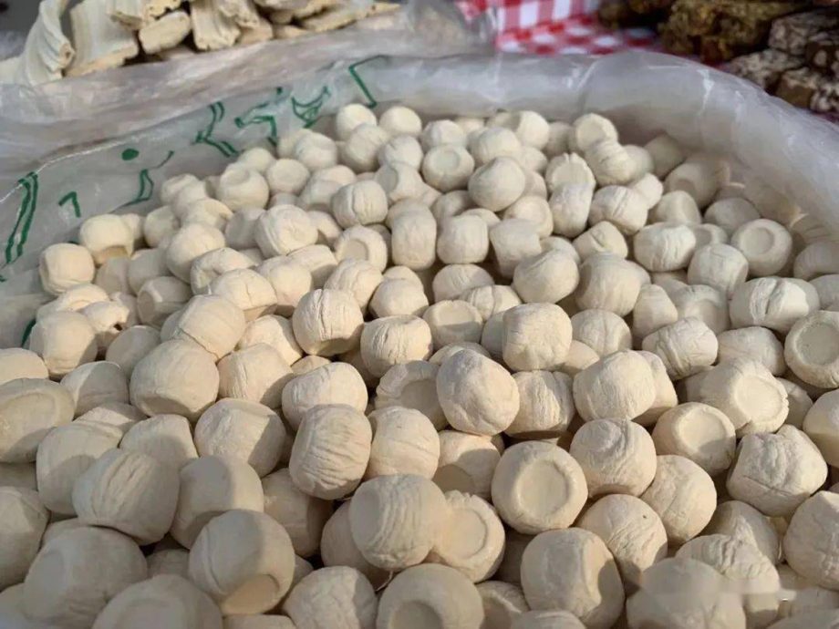 【豪古一派】林家豪/一千年前的年货清单