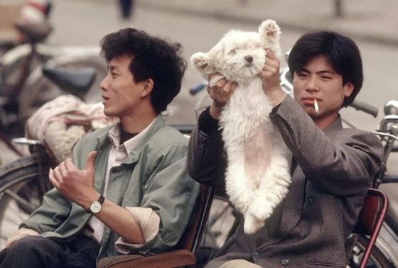 【豪古一派】林家豪／老上海的派头