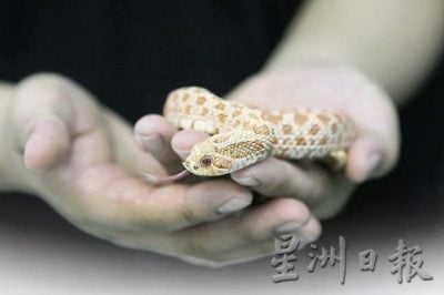 不举报不知道!受虐动物五花八门,家禽鱼儿也遭虐待