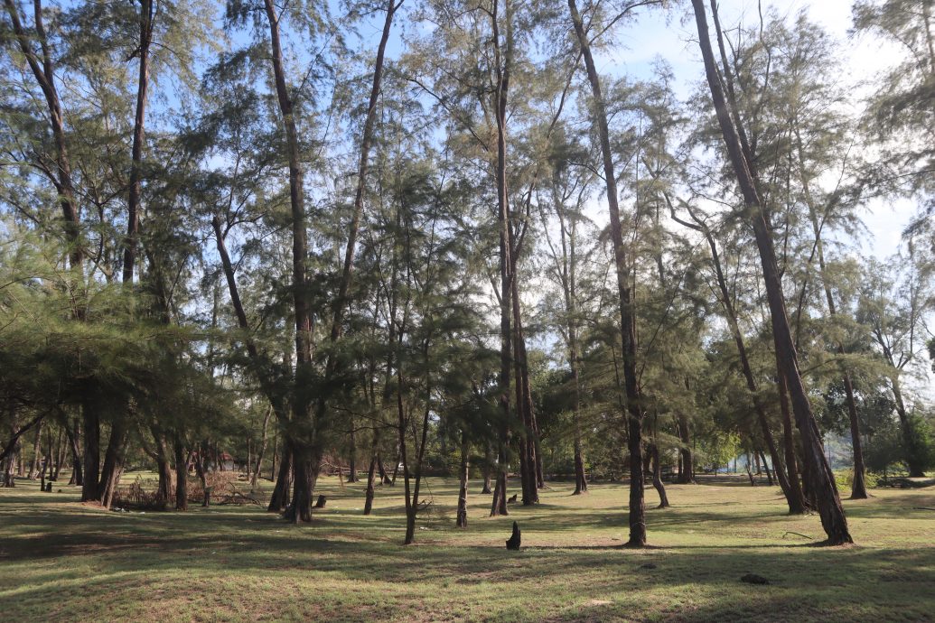 东：东游记：云冰娱乐海滩（Pantai Hiburan）一望无际，碧海蓝天连成一线
