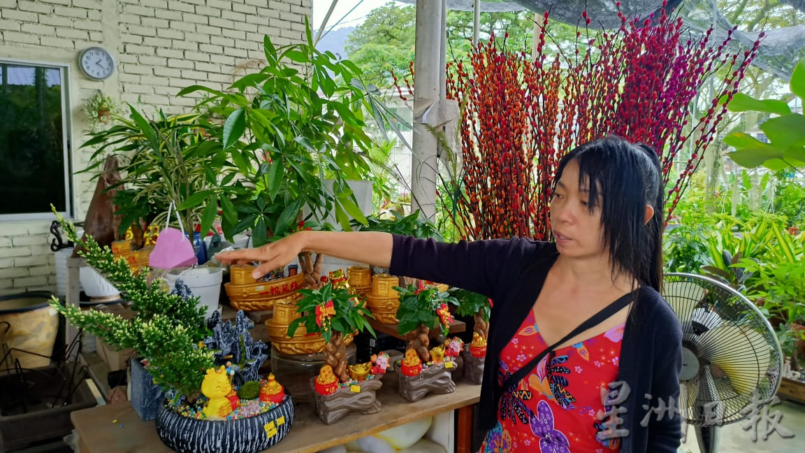 东：迎春花开，“群龙”聚花圃。