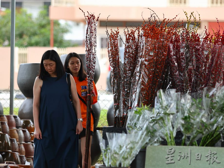 东：迎春花开，“群龙”聚花圃。