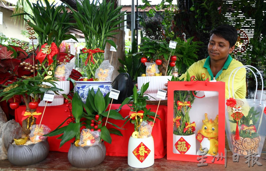 东：迎春花开，“群龙”聚花圃。