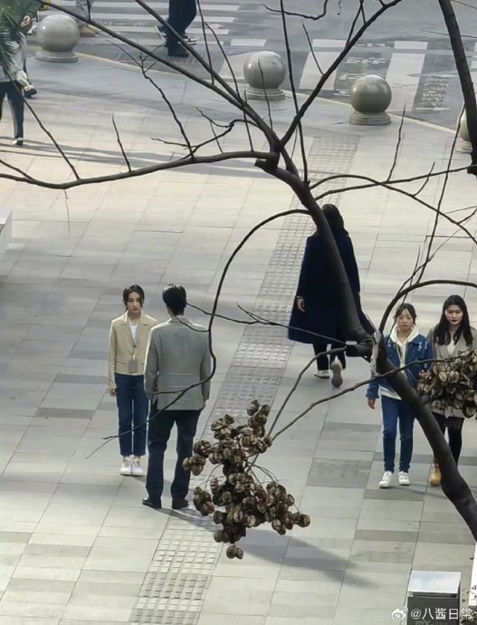 中国版《我的大叔》｜赵又廷撞脸李善钧 张子枫被酸土味重