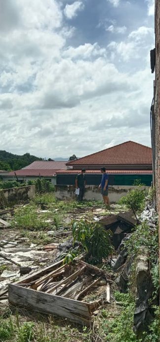 丹那依淡猴患 郑国霖:野生动物局调查