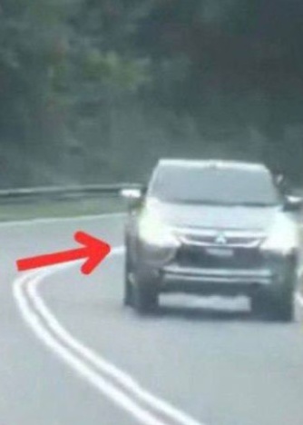 乡间路被闪高灯巧遇象群 “仿佛野生动物园自驾游”