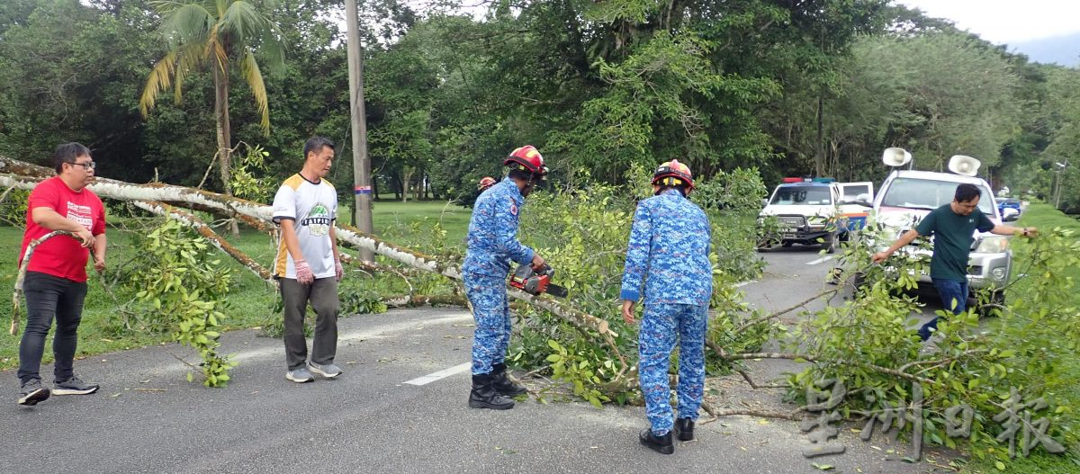 倒树阻交通 火箭服务队助民防队清理