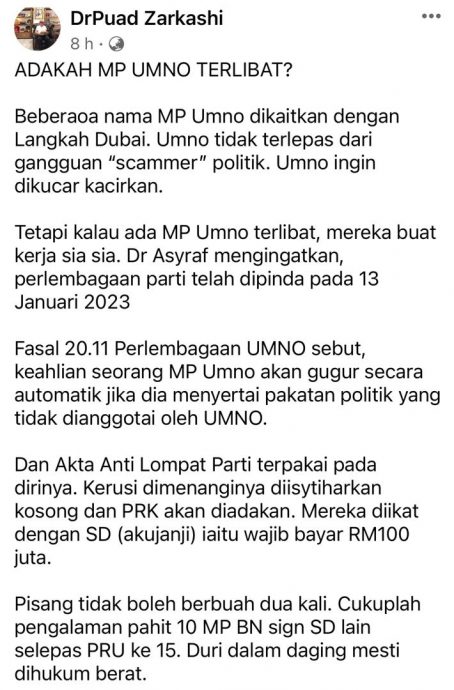 卜艾:巫统已修改党章 议员涉“迪拜行动”白费工夫