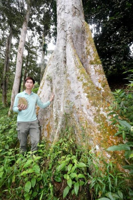 FZ100447533809_A26535736