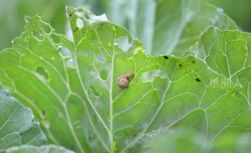 FZ100447784394_A26691711