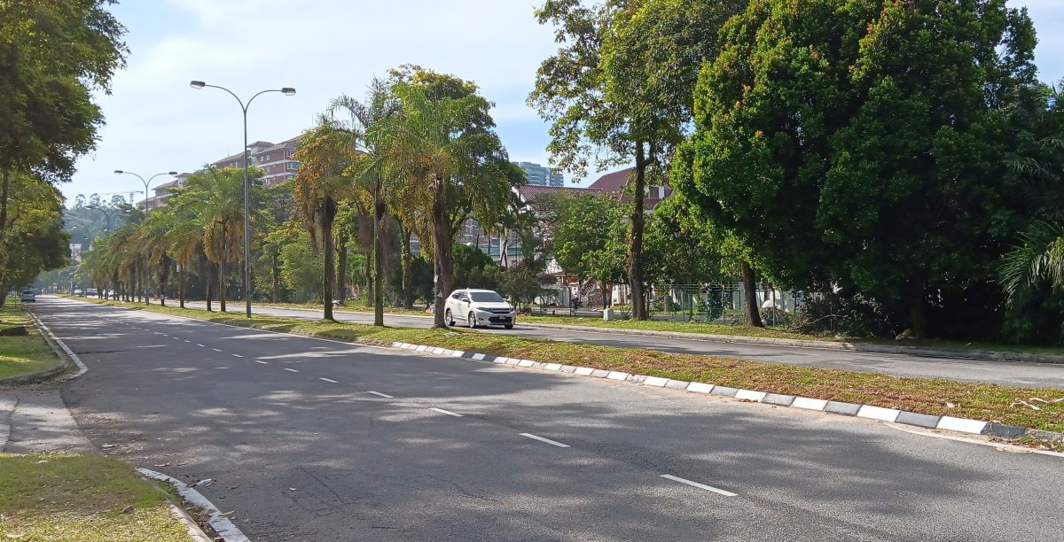 分界堤路口禁U转  双溪龙华小校外 不塞了