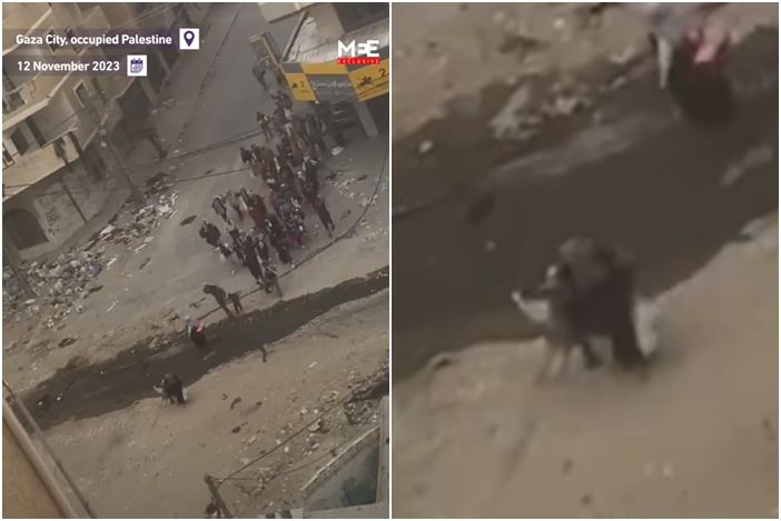 加沙奶奶带4岁孙逃命“手牵手举白旗”当街遭枪杀