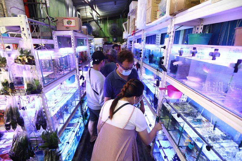 ¬P¬w¤H¯S½Z-´M³½¤Ñ°ó °OªÌ¡G¾Ð¶² Äá¼v¡G¶À¦B¦B