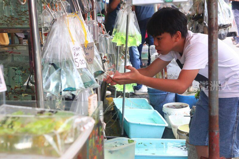 ¬P¬w¤H¯S½Z-´M³½¤Ñ°ó °OªÌ¡G¾Ð¶² Äá¼v¡G¶À¦B¦B