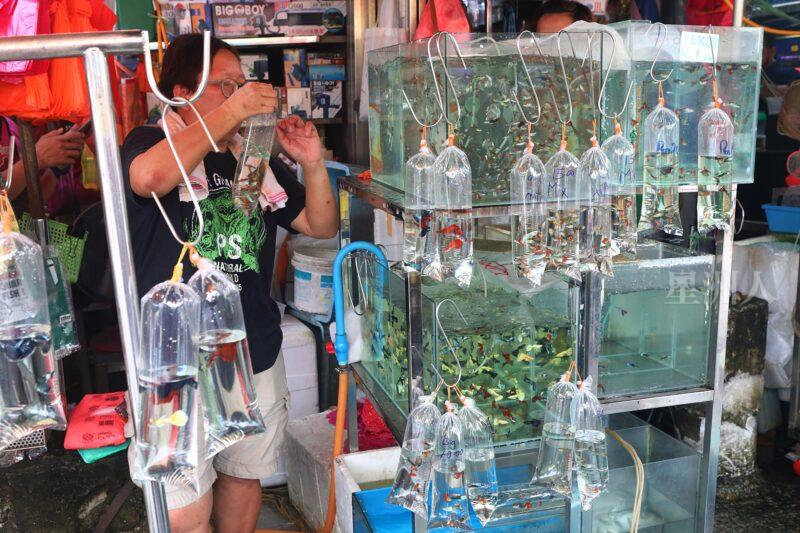 ¬P¬w¤H¯S½Z-´M³½¤Ñ°ó °OªÌ¡G¾Ð¶² Äá¼v¡G¶À¦B¦B