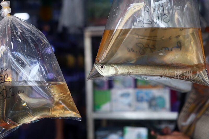 ¬P¬w¤H¯S½Z-´M³½¤Ñ°ó °OªÌ¡G¾Ð¶² Äá¼v¡G¶À¦B¦B