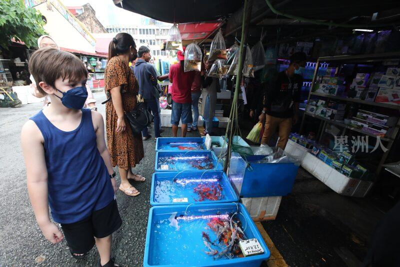 ¬P¬w¤H¯S½Z-´M³½¤Ñ°ó °OªÌ¡G¾Ð¶² Äá¼v¡G¶À¦B¦B