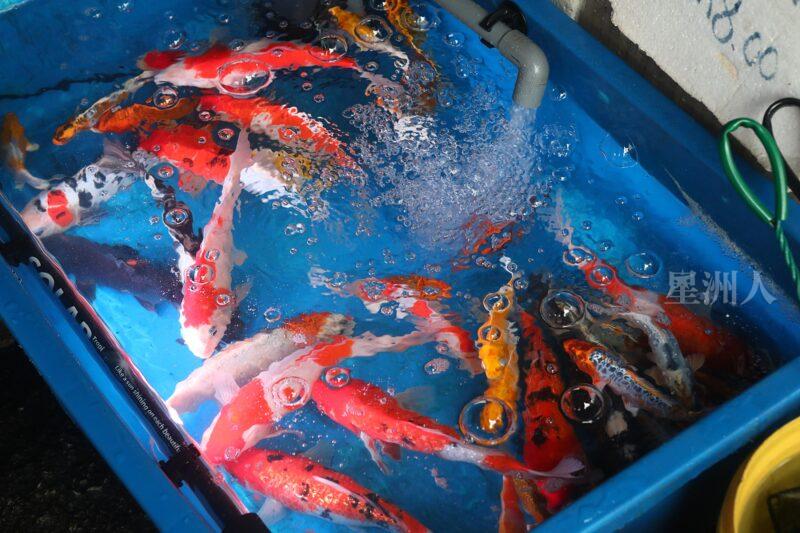 ¬P¬w¤H¯S½Z-´M³½¤Ñ°ó °OªÌ¡G¾Ð¶² Äá¼v¡G¶À¦B¦B