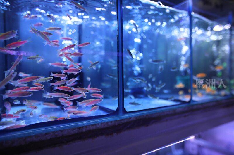 ¬P¬w¤H¯S½Z-´M³½¤Ñ°ó °OªÌ¡G¾Ð¶² Äá¼v¡G¶À¦B¦B